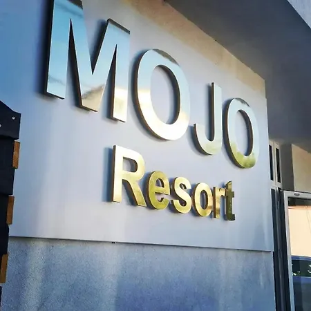 Mojo إيفوري سود